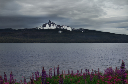 了解bet365备用网址的最新动态与使用技巧 了解bet365备用网址的最新动态与使用技巧