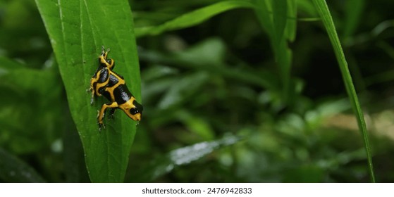 九州娱乐娱乐:让你的娱乐生活更加丰富多彩 九州娱乐娱乐:让你的娱乐生活更加丰富多彩
