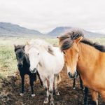 乐鱼体育彩金:如何有效利用提升你的投注体验 h68smgevd2