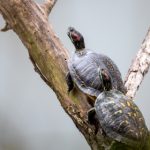 了解太阳城集团平台的最新活动与优惠信息 j16bstf