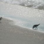 了解必胜娱乐的安全性与用户隐私保护措施 myct89scab