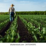 九游娱乐网页版如何提升你的游戏乐趣,探索新玩法与活动 o3i0cyl