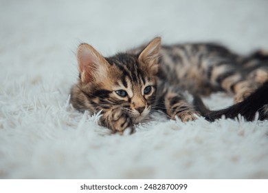 九游娱乐平台赔率高的背后:玩家如何获取最大收益? 九游娱乐平台赔率高的背后:玩家如何获取最大收益?