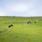 17004期足彩开奖结果公布最新中奖号码查询 032ce