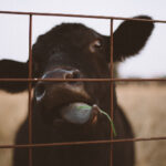 17043期体彩开奖结果公布,大奖花落谁家? 6280zm8