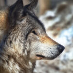 16开奖结果揭晓,幸运号码震撼公布 816o1pij