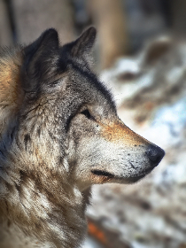 16开奖结果揭晓,幸运号码震撼公布 16开奖结果揭晓,幸运号码震撼公布