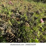 17046期双色球开奖结果揭晓:幸运号码正式公布 bhuc8kt9