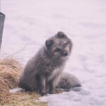 17031期体育彩票开奖结果最新公布 c973vf7mq